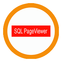 SQL Page Viewer on cloud